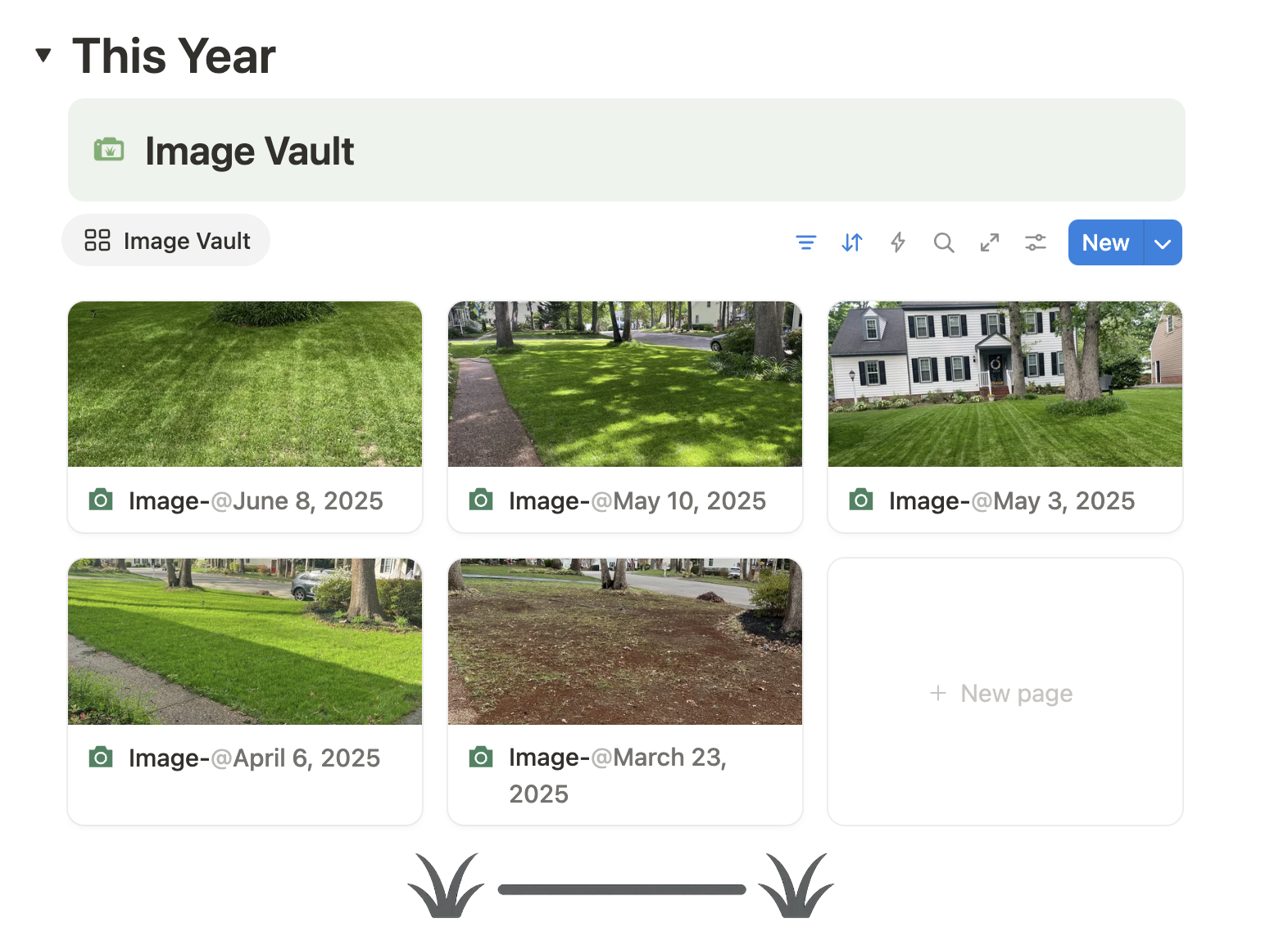 Image vault showing lawn progress photos